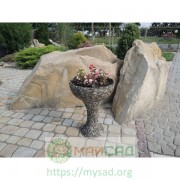 images