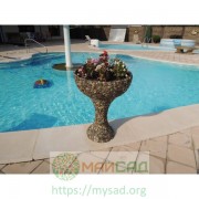 images